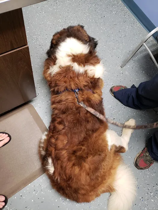 Animal Care Clinic Picture 1