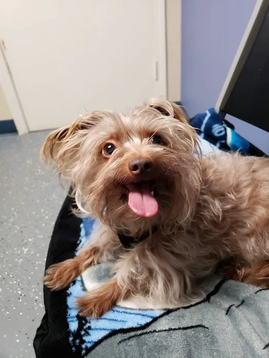 Animal Care Clinic Picture 8