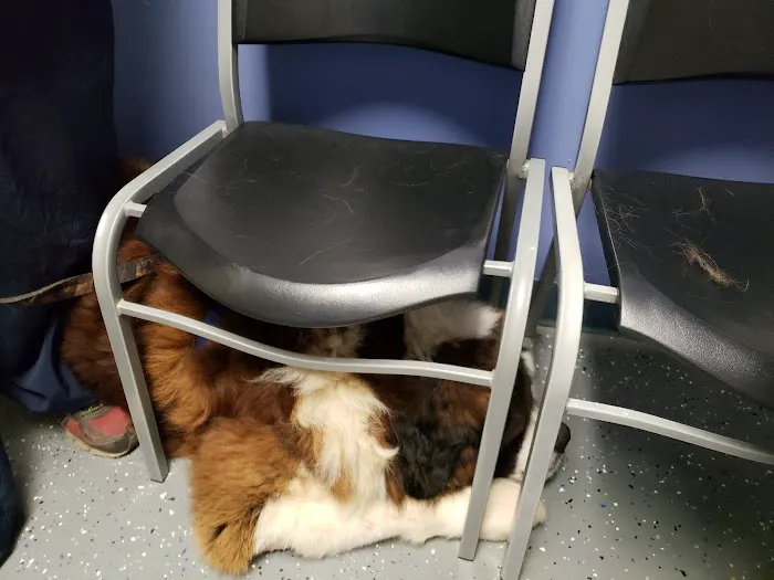 Animal Care Clinic Picture 5