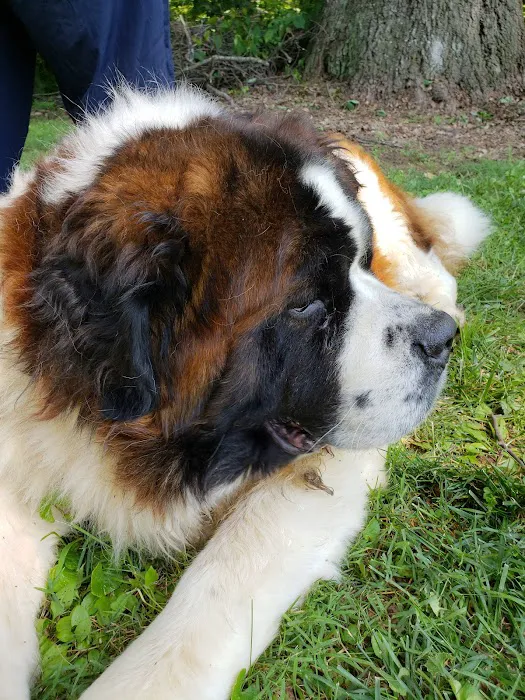 Animal Care Clinic Picture 10