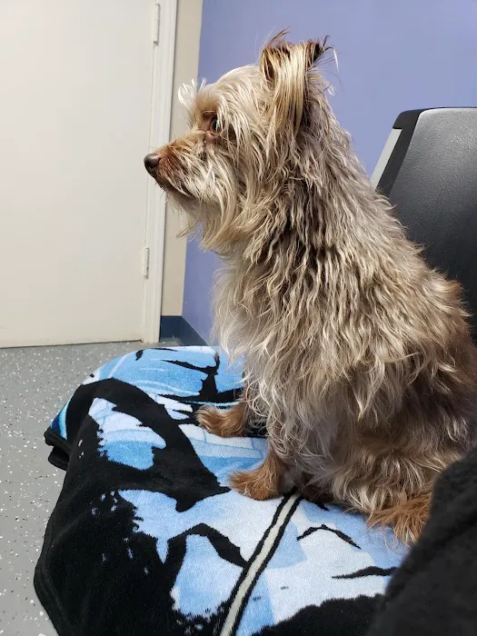 Animal Care Clinic Picture 2