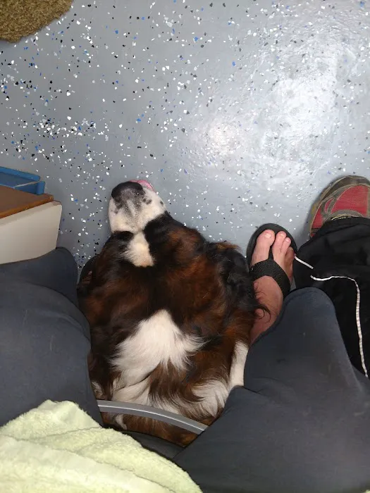 Animal Care Clinic Picture 3