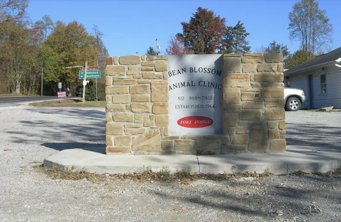 Bean Blossom Animal Clinic Picture 5