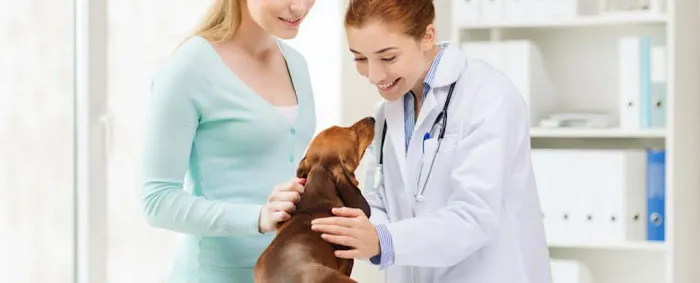 Bean Blossom Animal Clinic Picture 1