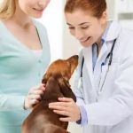 Bean Blossom Animal Clinic