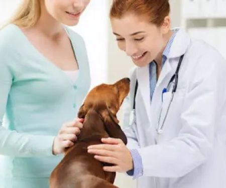 Bean Blossom Animal Clinic