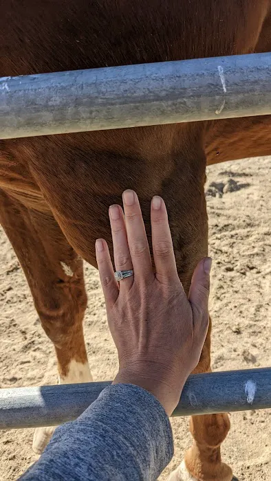 Midwest Equine & Vet Hospital Picture 4