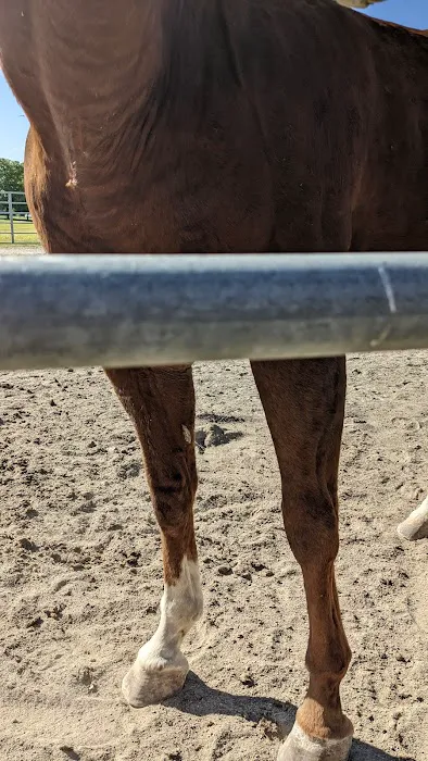 Midwest Equine & Vet Hospital Picture 3