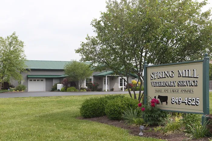 Spring Mill Veterinary Service Picture 8