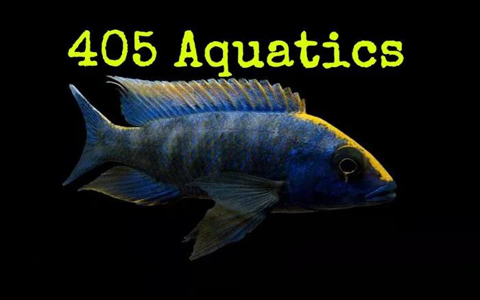 405 Aquatics & Exotics Picture 1