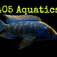 405 Aquatics & Exotics ico
