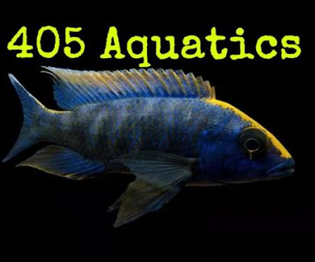 405 Aquatics & Exotics