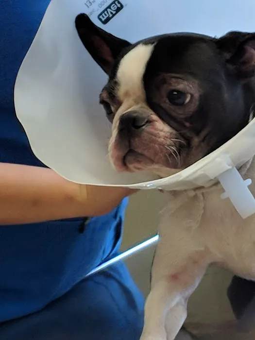 Animal Medical Center of Dubois Picture 9