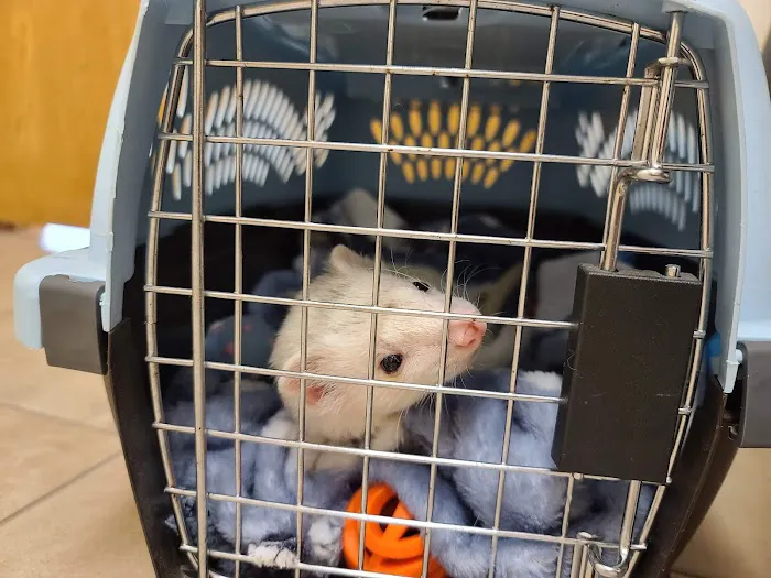 Hillview Veterinary Clinic Picture 6