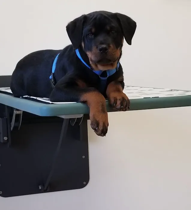 Hillview Veterinary Clinic Picture 5