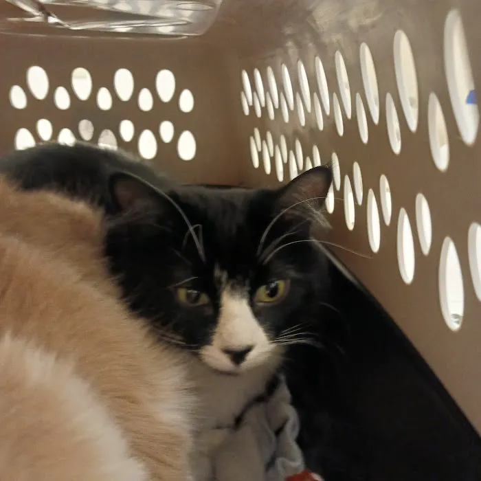 Hillview Veterinary Clinic Picture 10