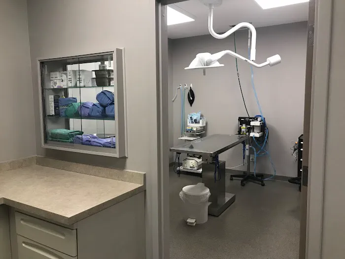 Shelton Veterinary Care Picture 3