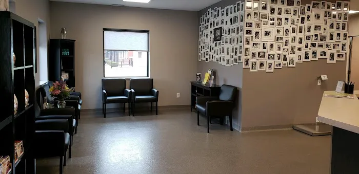 Shelton Veterinary Care Picture 8