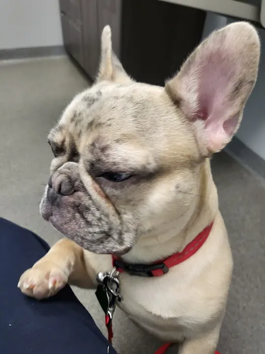 Shelton Veterinary Care Picture 9