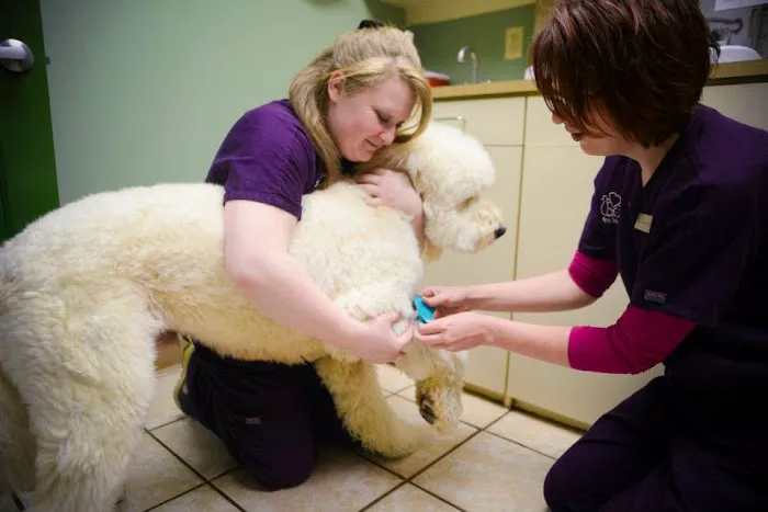 Lifetime Pet Center - New Richmond Picture 9