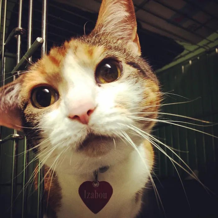 Lifetime Pet Center - New Richmond Picture 3