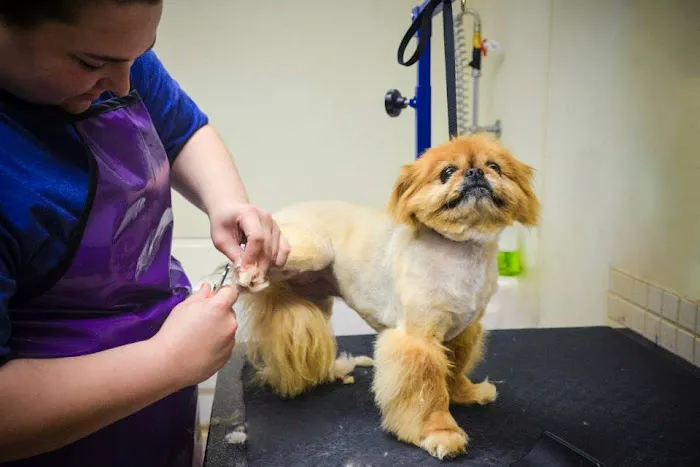 Lifetime Pet Center - New Richmond Picture 2