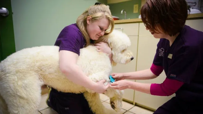 Lifetime Pet Center - New Richmond Picture 1