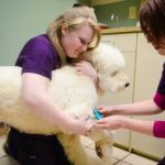 Lifetime Pet Center - New Richmond