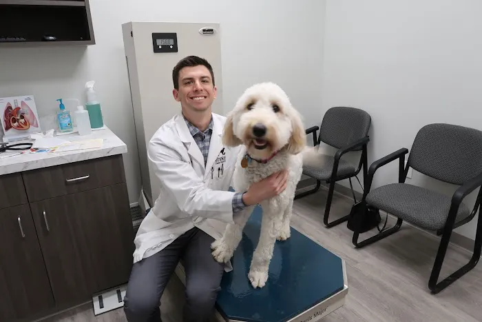 Heineke Veterinary Hospital Picture 5