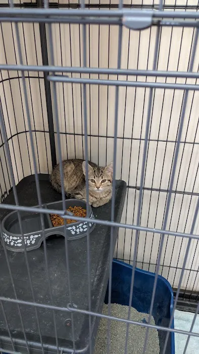 Veterinary Medical Center of Independence Picture 1