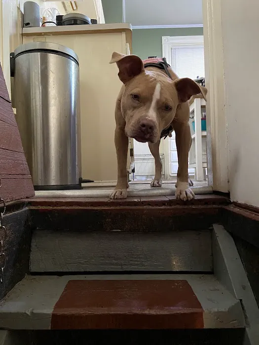 Veterinary Medical Center of Independence Picture 5