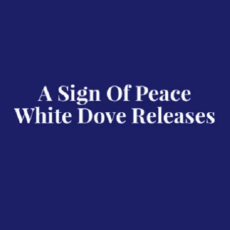 A Sign Of Peace White Dove Releases Picture 4