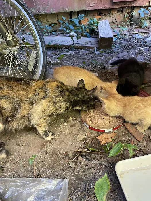 Florence Veterinary Hospital Picture 2