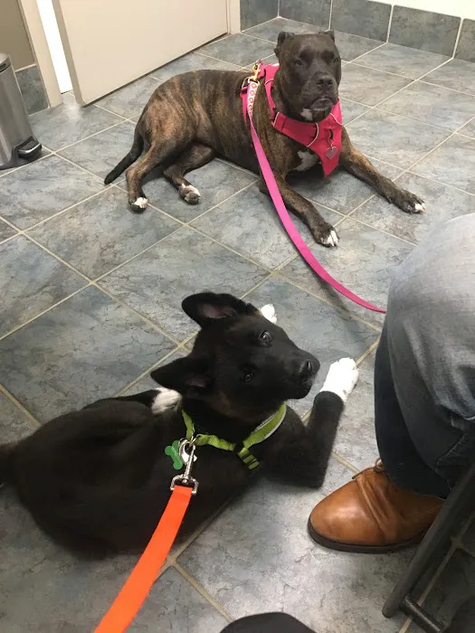 Heekin Animal Hospital Picture 8