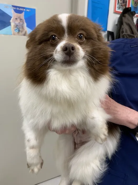 Heekin Animal Hospital Picture 9