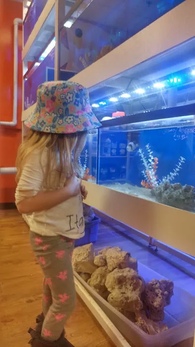 Discover Aquatics Shop Picture 3