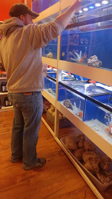 Discover Aquatics Shop Picture 7