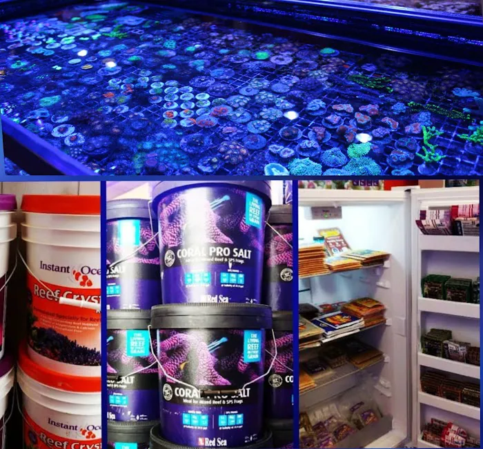 Discover Aquatics Shop Picture 6