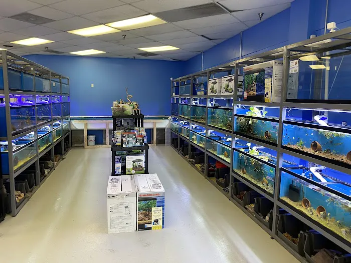 Discover Aquatics Shop Picture 4