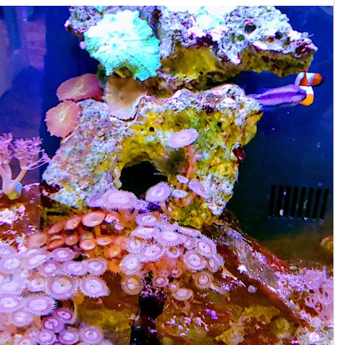 Discover Aquatics Shop Picture 9