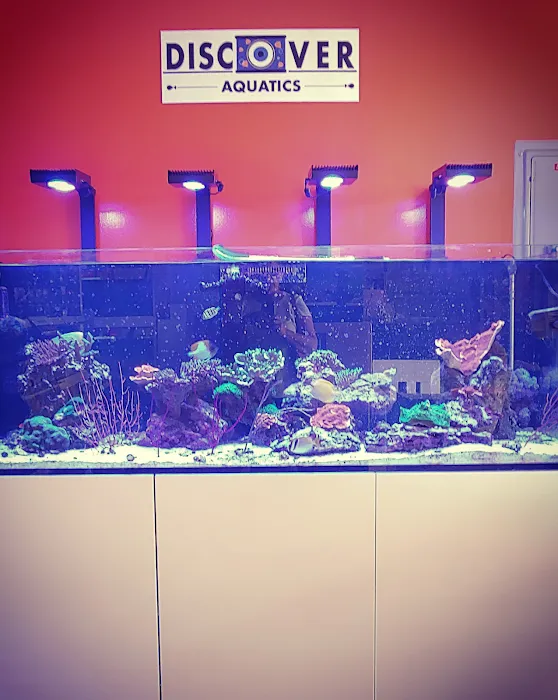 Discover Aquatics Shop Picture 10