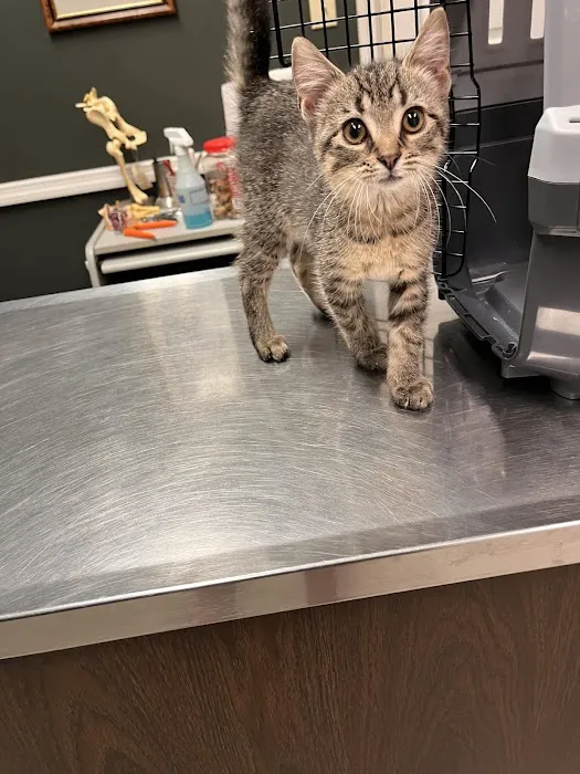 Huesing Veterinary Clinic Picture 10