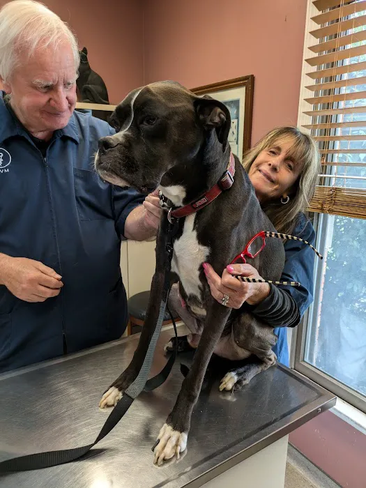 Huesing Veterinary Clinic Picture 4