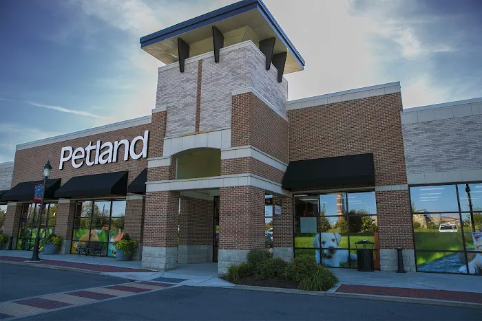 Petland Florence Picture 3
