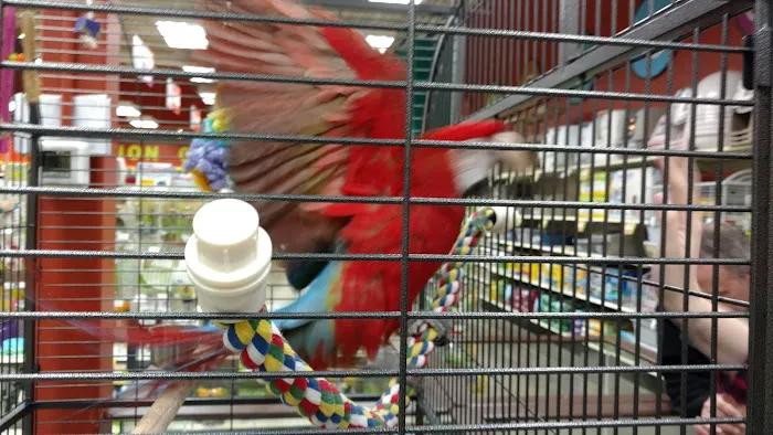 Petland Florence Picture 1