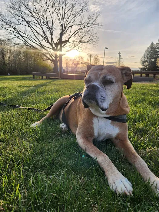 The Pet Wellness Group: Florence Picture 6