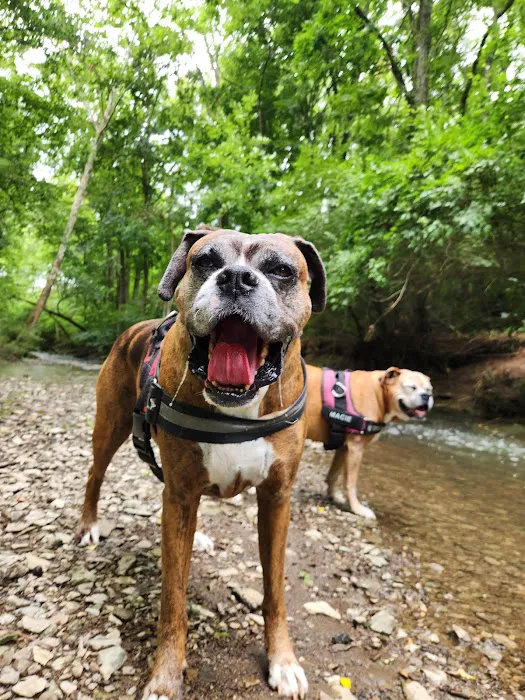 The Pet Wellness Group: Florence Picture 8