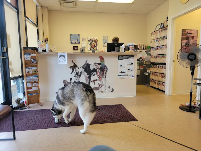 Shelby Street Veterinary Hospital Picture 1