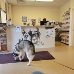 Shelby Street Veterinary Hospital