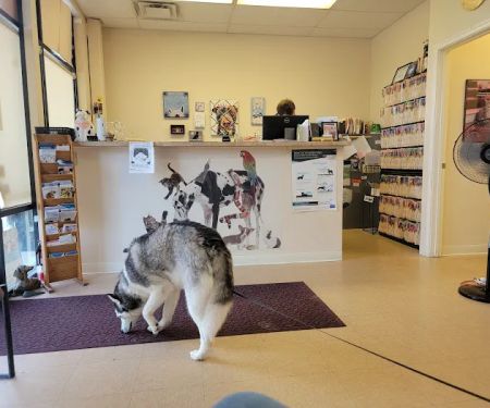 Shelby Street Veterinary Hospital